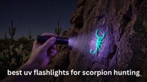 best uv flashlights for scorpion hunting