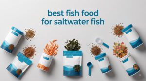 best fish food for saltwater fish