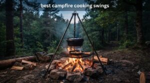 best campfire cooking swings