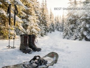 best snowshoeing boots