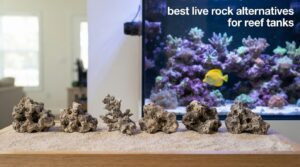 best live rock alternatives for reef tanks