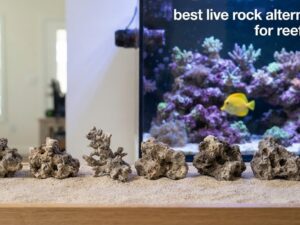 best live rock alternatives for reef tanks