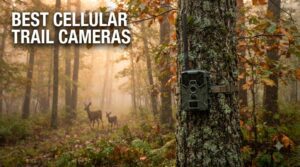 best cellular trail cameras