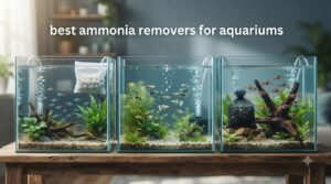 best ammonia removers for aquariums