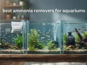 best ammonia removers for aquariums