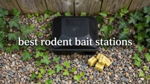 best rodent bait stations