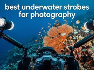 best underwater strobes for photography