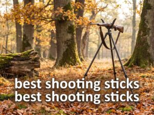 best shooting sticks