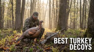 best turkey decoys