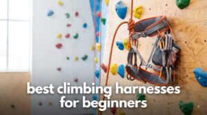 best climbing harnesses for beginners
