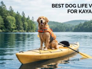 best dog life vests for kayaking