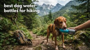 best dog water bottles for hiking