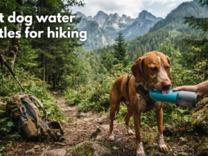 best dog water bottles for hiking