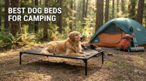 best dog beds for camping