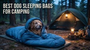 best dog sleeping bags for camping