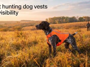 best hunting dog vests for visibility
