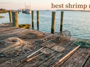 best shrimp nets