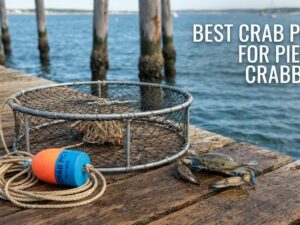 best crab pots for pier crabbing