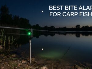 best bite alarms for carp fishing
