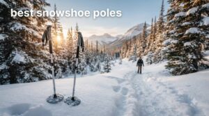 best snowshoe poles