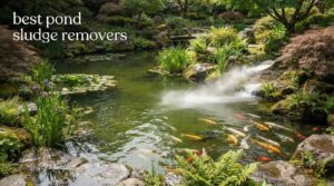 best pond sludge removers