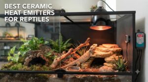 best ceramic heat emitters for reptiles