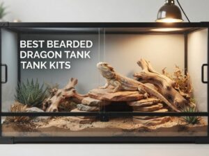 best bearded dragon tank kits
