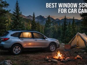 best window screens for car camping
