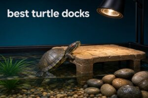 best turtle docks