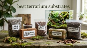 best terrarium substrates
