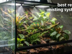 best reptile misting systems