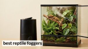 best reptile foggers