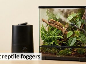 best reptile foggers