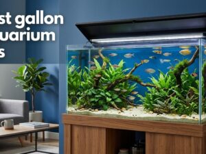 best 55 gallon aquarium kits