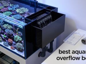 best aquarium overflow boxes