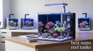 best nano reef tanks