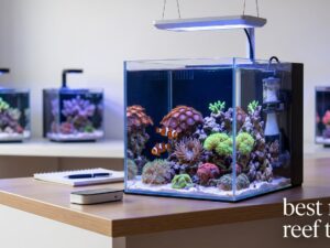 best nano reef tanks