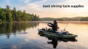 best shrimp tank supplies