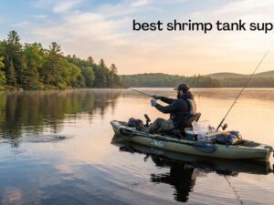 best shrimp tank supplies