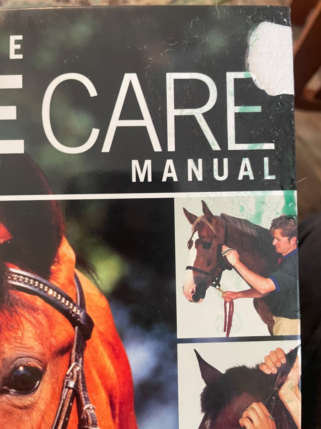 Complete Horse Care Manual (DK Practical Pet Guides) customer photo 2