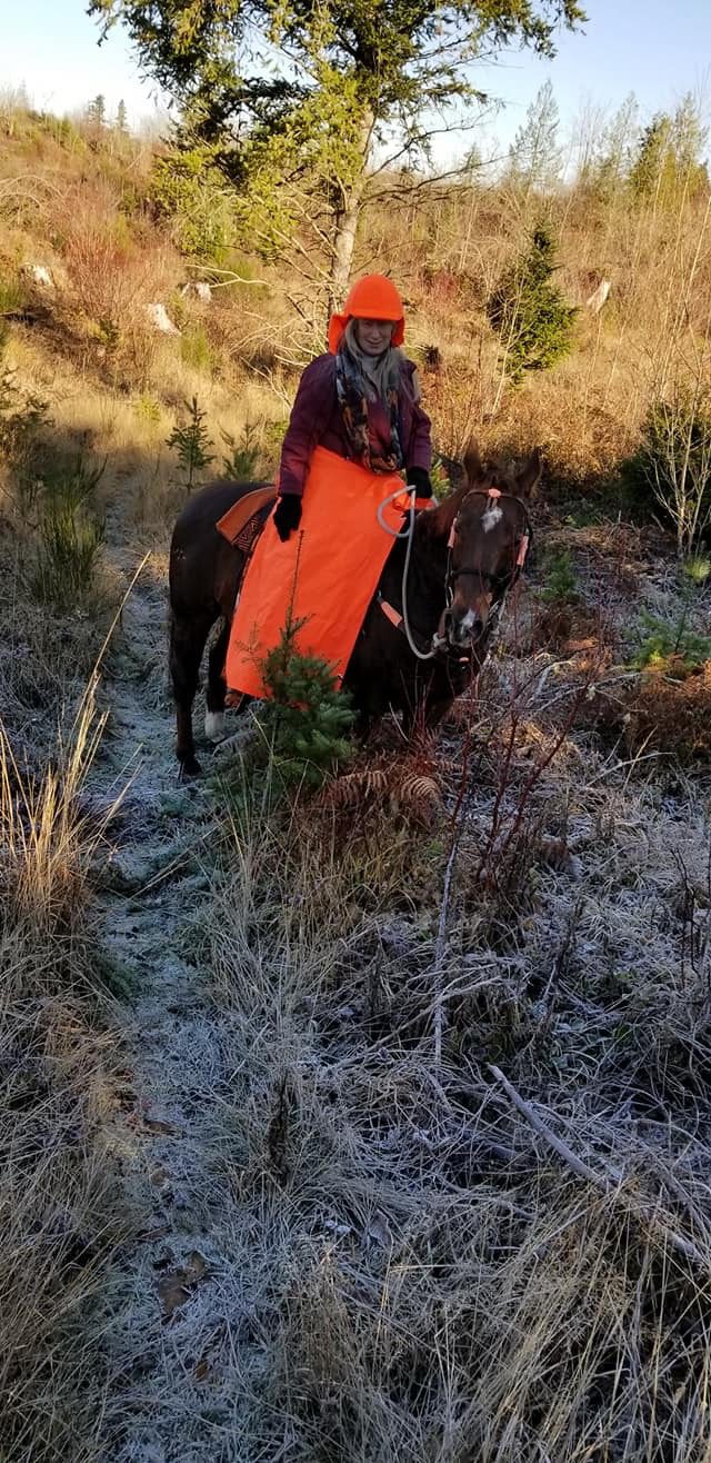 The ABCs of Trail Riding and Horse Camping: Essential Knowledge for Trail and Camp customer photo 1