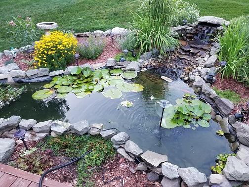 Danner Manufacturing, Inc. Pondmaster Garden Pond Filter and Pump Kit, PMK 190, Black, 02019 customer photo 1