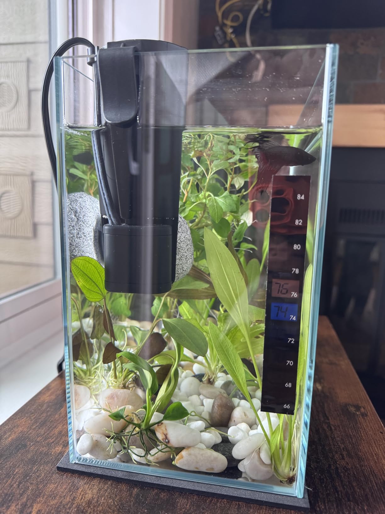 Tetra Whisper 85 GPH Internal Power Filter For Aquariums customer photo 2