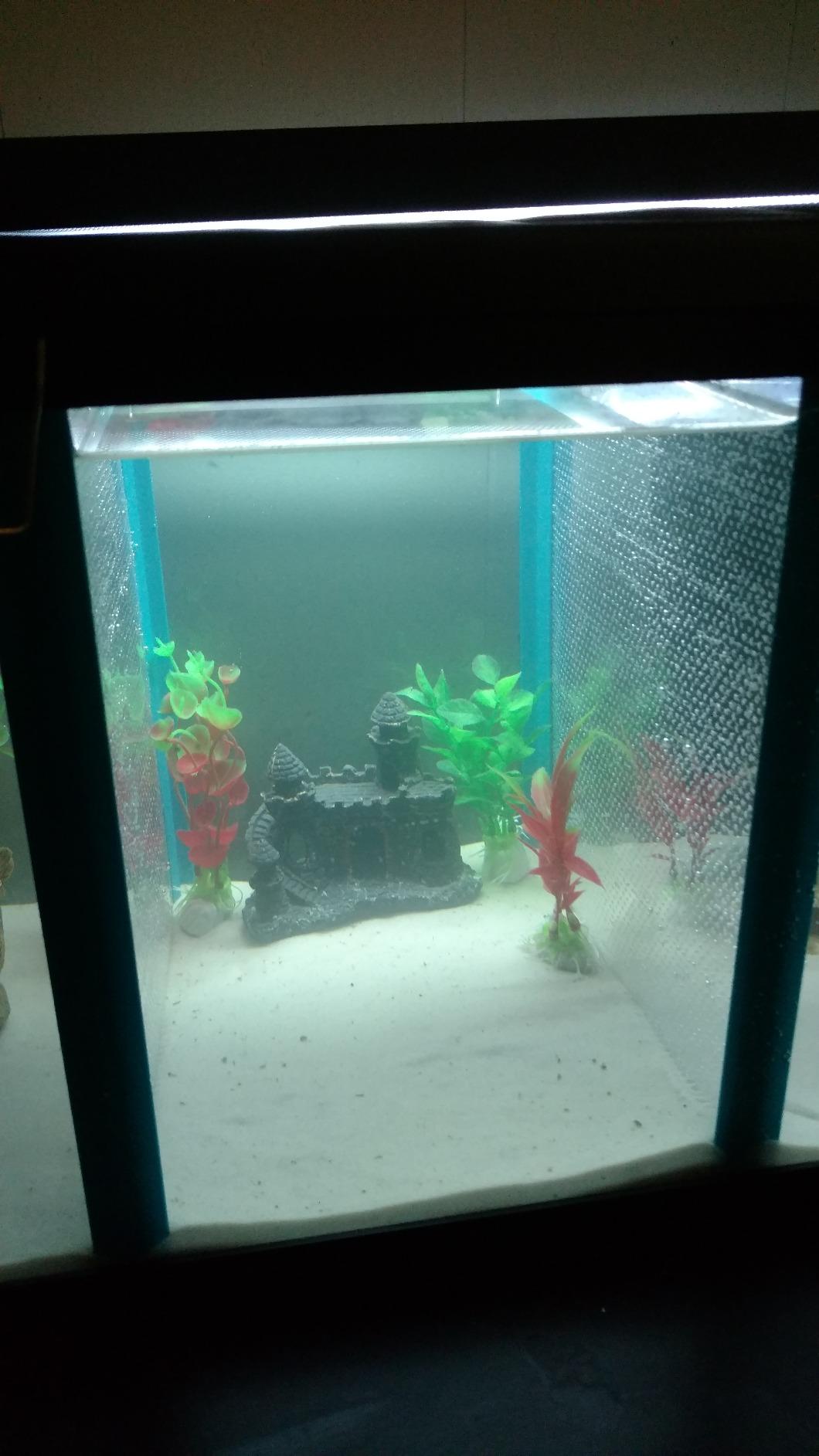 Penn-Plax Aqua Life Tank Divider - Super Size Aquarium Separator - Instantly Converts One Tank into Two, Easy Setup for Fish Breeding, Isolation, Aggression Control & Water Flow 11 3/8 x 17 1/2 Inches customer photo 2