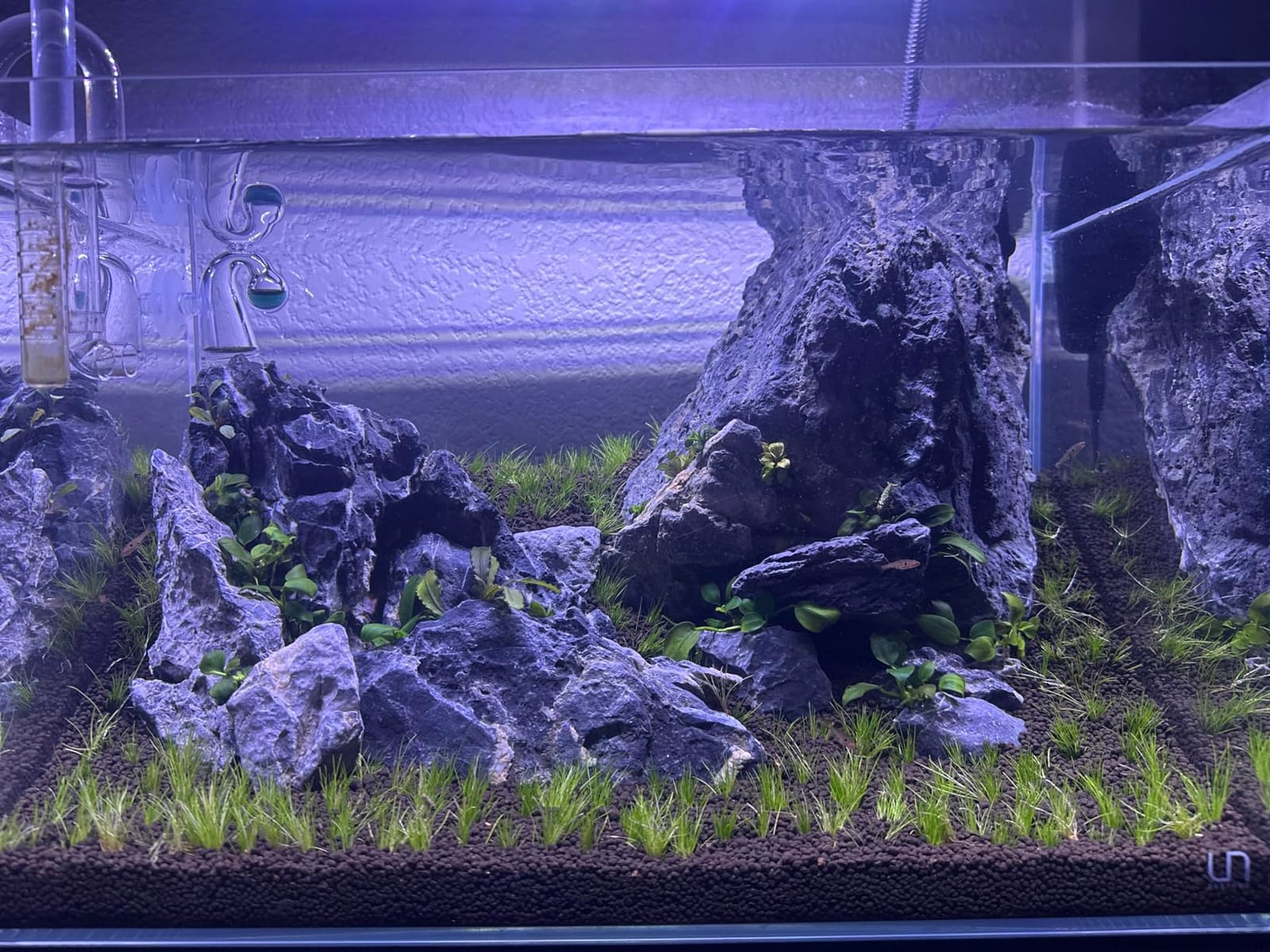 Coralife Aquarium Fish Tank 8-Outlet 24/7 Digital Power Center Timer customer photo 1