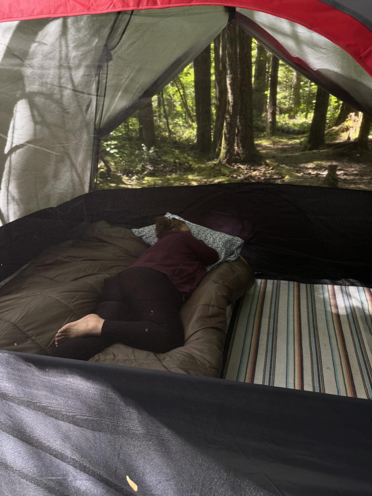 Teton Mammoth Queen Size Double Sleeping Bag- A Warm Bag the Whole Family can Enjoy – Great for Camping, Hunting and Base Camp. Compression Sack Included customer photo 2