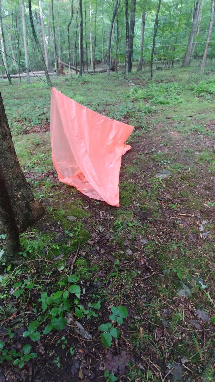 Coghlan's Lightweight Emergency Tube Tent - Portable Waterproof Shelter for Camping, Hiking, Survival, and Outdoor Adventures - Fire Retardant Material with Durable Nylon Cord (Sleeps Two) customer photo 1