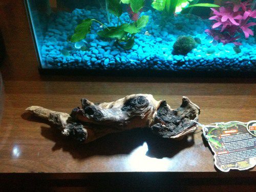 Zoo Med Laboratories African Mopani Wood - Small customer photo 2