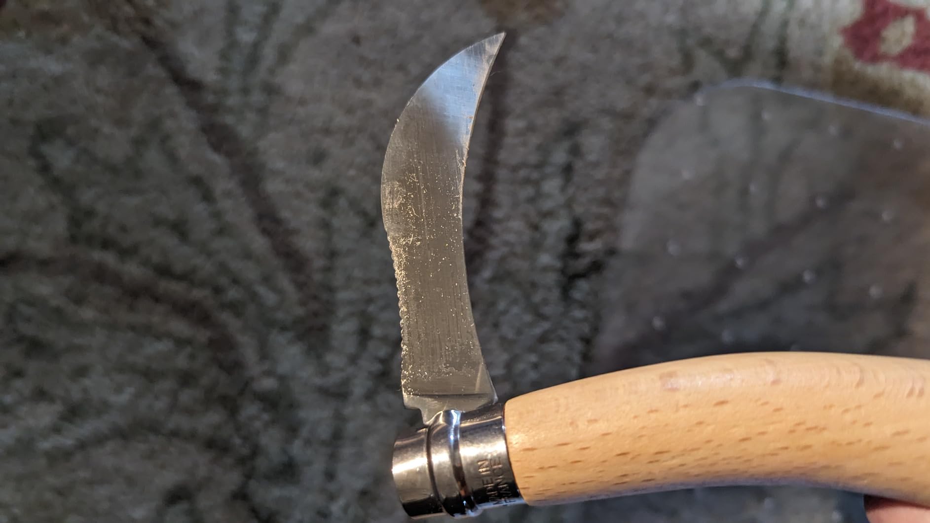 OPINEL No. 08 Mushroom Knife, Curved Stainless Steel Blade, Brush customer photo 1