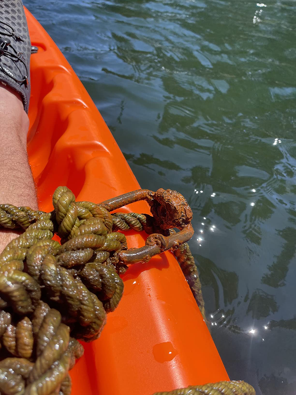 SUR MOOR BUOY BLUE STRIPE 15' customer photo 2